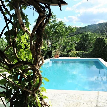 Villa Regina Serafina Balcic Exterior foto